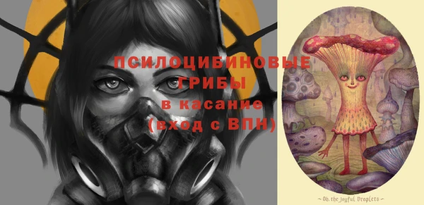 ГАЛЛЮЦИНОГЕННЫЕ ГРИБЫ Покровск