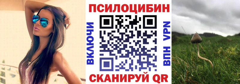 Псилоцибиновые грибы Psilocybine cubensis  Аркадак 